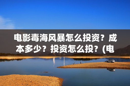 电影毒海风暴怎么投资？成本多少？投资怎么投？(电影《毒海风暴》)
