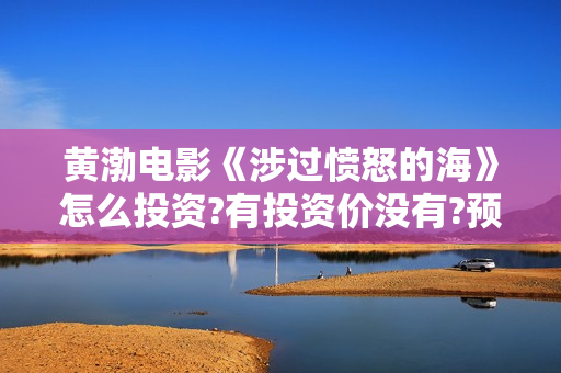 黄渤电影《涉过愤怒的海》怎么投资?有投资价没有?预估收益?