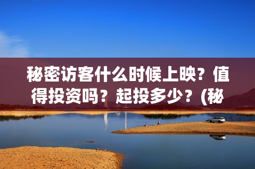 秘密访客什么时候上映？值得投资吗？起投多少？(秘密访客什么时候上映的)