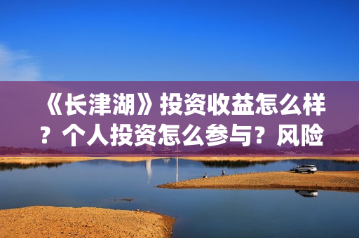 《长津湖》投资收益怎么样？个人投资怎么参与？风险如何？(长津湖投资是真实的吗)