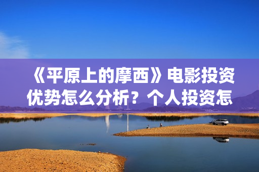 《平原上的摩西》电影投资优势怎么分析？个人投资怎么赚钱？(平原上的摩西是什么意思)