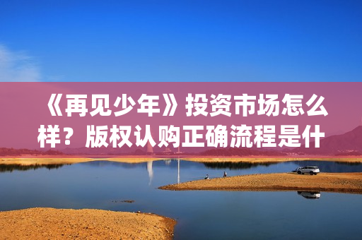 《再见少年》投资市场怎么样？版权认购正确流程是什么？投资成本多少？(再见少年全剧情)