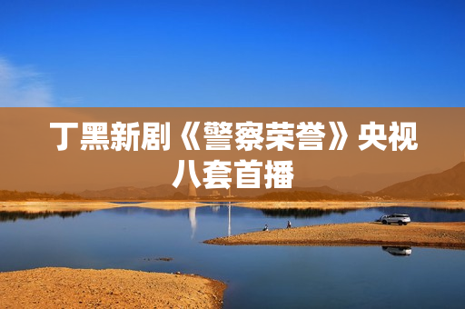 丁黑新剧《警察荣誉》央视八套首播