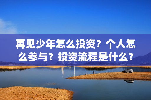 再见少年怎么投资？个人怎么参与？投资流程是什么？(再见,少年怎么投)