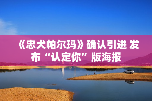 《忠犬帕尔玛》确认引进 发布“认定你”版海报