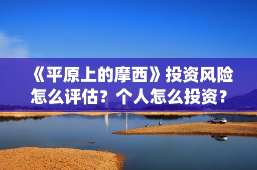 《平原上的摩西》投资风险怎么评估？个人怎么投资？能不能获得高收益？ (平原上的摩西演员表)