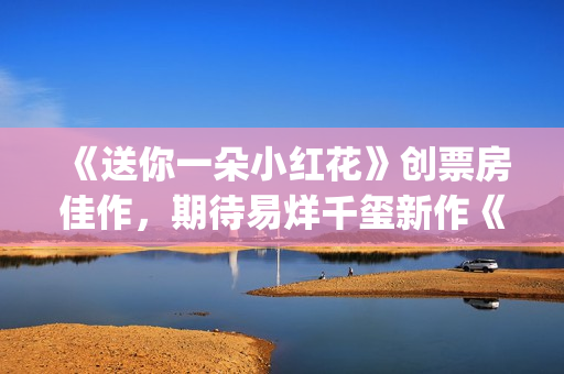 《送你一朵小红花》创票房佳作，期待易烊千玺新作《长津湖》 (送你一朵小红花)