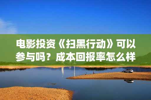 电影投资《扫黑行动》可以参与吗？成本回报率怎么样？是保本的吗？(扫黑这部电影)