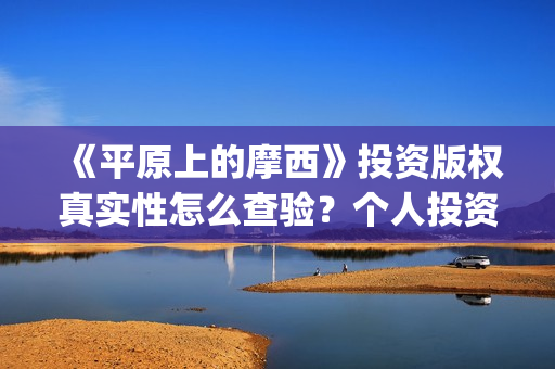 《平原上的摩西》投资版权真实性怎么查验？个人投资规避哪些风险？(平原上的摩西主要讲了什么)
