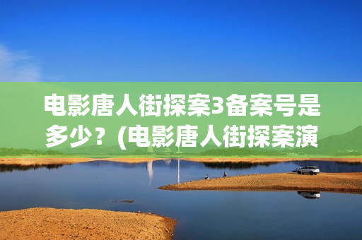 电影唐人街探案3备案号是多少？(电影唐人街探案演员表)