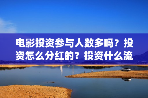 电影投资参与人数多吗？投资怎么分红的？投资什么流程？(电影投资参与人有哪些)