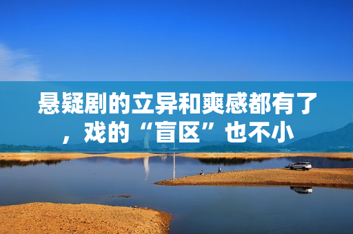 悬疑剧的立异和爽感都有了，戏的“盲区”也不小