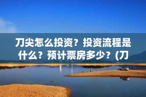刀尖怎么投资？投资流程是什么？预计票房多少？(刀尖成本)