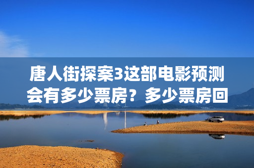 唐人街探案3这部电影预测会有多少票房？多少票房回本？(唐人街探案这个叔叔在车上打架)