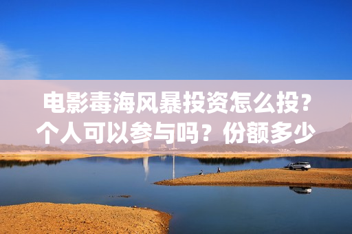 电影毒海风暴投资怎么投？个人可以参与吗？份额多少？(毒海风暴真实情况)
