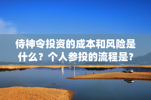 侍神令投资的成本和风险是什么？个人参投的流程是？找哪家公司投？(侍神令投资成本)