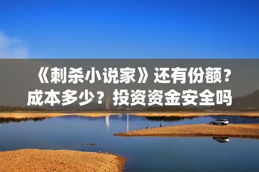 《刺杀小说家》还有份额？成本多少？投资资金安全吗？(刺杀小说家2)