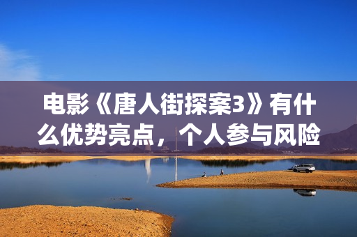 电影《唐人街探案3》有什么优势亮点，个人参与风险大吗(电影《唐人街探案2》高清在线观看免)