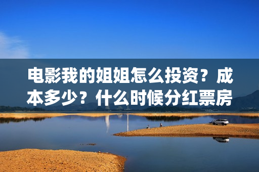 电影我的姐姐怎么投资？成本多少？什么时候分红票房？(我的姐姐标清)