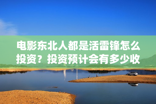 电影东北人都是活雷锋怎么投资？投资预计会有多少收益？(都说东北人)