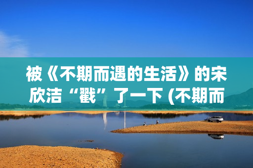 被《不期而遇的生活》的宋欣洁“戳”了一下 (不期而遇的作者)