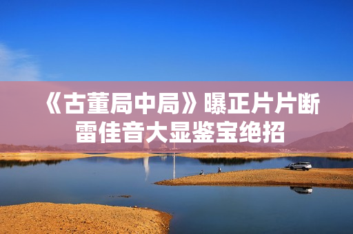 《古董局中局》曝正片片断 雷佳音大显鉴宝绝招