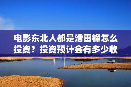 电影东北人都是活雷锋怎么投资？投资预计会有多少收益？(《东北人》)