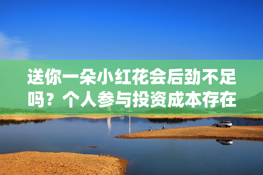 送你一朵小红花会后劲不足吗？个人参与投资成本存在溢价吗？(送你一朵小红花 歌曲)