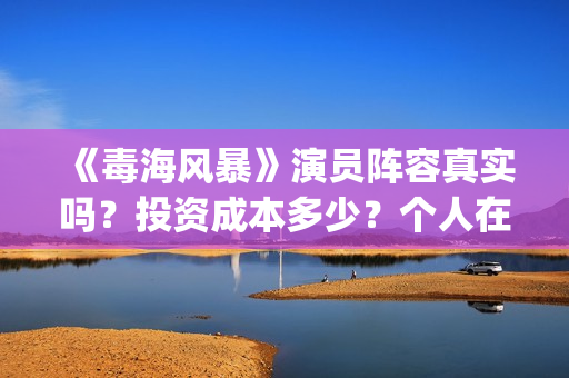 《毒海风暴》演员阵容真实吗？投资成本多少？个人在哪能认购？(《毒海风暴》演员表介绍)