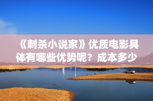 《刺杀小说家》优质电影具体有哪些优势呢？成本多少盈利空间大吗？ (刺杀小说家免费观看完整版高清)
