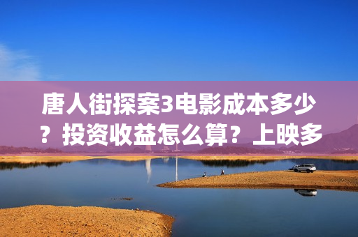 唐人街探案3电影成本多少？投资收益怎么算？上映多久会分红？(唐人街探案3电影在线观看免费版高清)