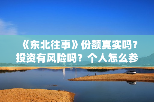《东北往事》份额真实吗？投资有风险吗？个人怎么参与投资？(东北往事原文)