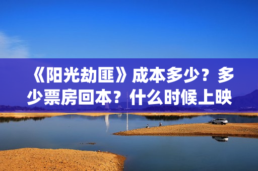 《阳光劫匪》成本多少？多少票房回本？什么时候上映？(阳光劫匪深意)