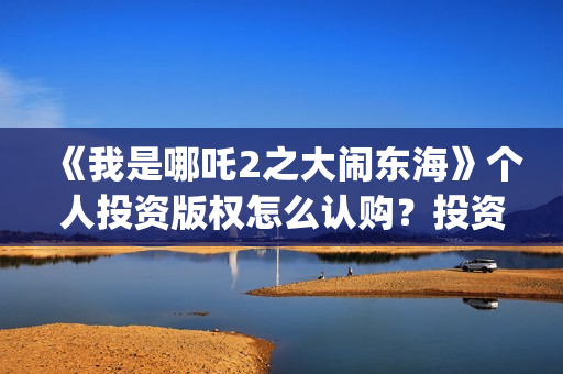 《我是哪吒2之大闹东海》个人投资版权怎么认购？投资风险怎么样？值得投资吗？(我是哪吒2021)