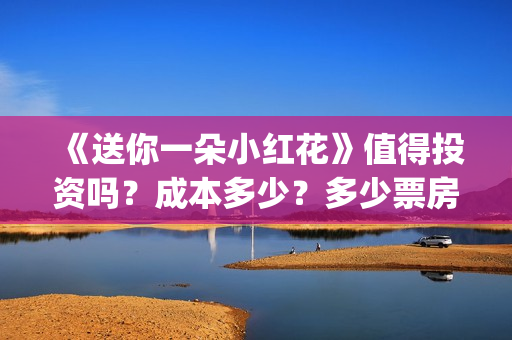 《送你一朵小红花》值得投资吗？成本多少？多少票房回本？(送你一朵小红花mp3下载)
