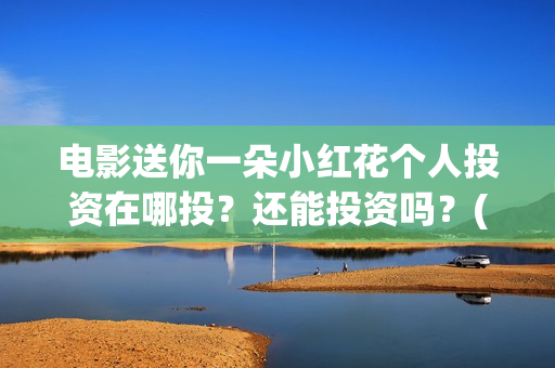 电影送你一朵小红花个人投资在哪投？还能投资吗？(电影送你一朵小红花演员表)
