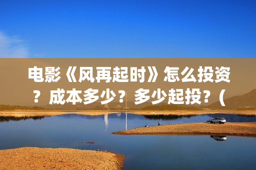 电影《风再起时》怎么投资？成本多少？多少起投？(风再起时 电影)