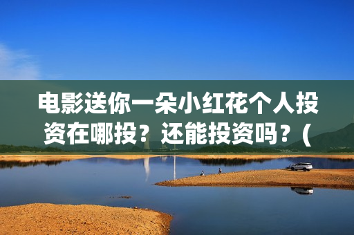 电影送你一朵小红花个人投资在哪投？还能投资吗？(电影送你一朵小红花简介)