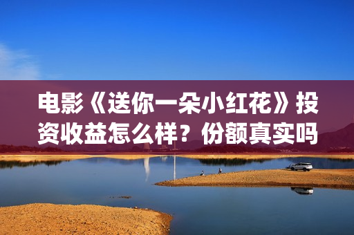 电影《送你一朵小红花》投资收益怎么样？份额真实吗？值得参与吗？(电影《送你一朵小红花》的导演和主演)