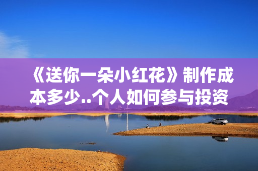 《送你一朵小红花》制作成本多少..个人如何参与投资..收益跟风险那个更大？(送你一朵小红花歌词)