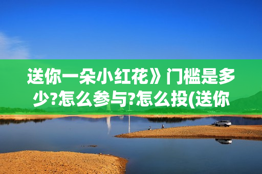 送你一朵小红花》门槛是多少?怎么参与?怎么投(送你一朵小红花歌词表达什么意思)