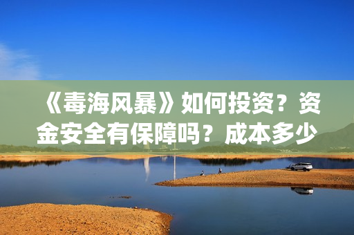 《毒海风暴》如何投资？资金安全有保障吗？成本多少？(毒海风暴上映时间)