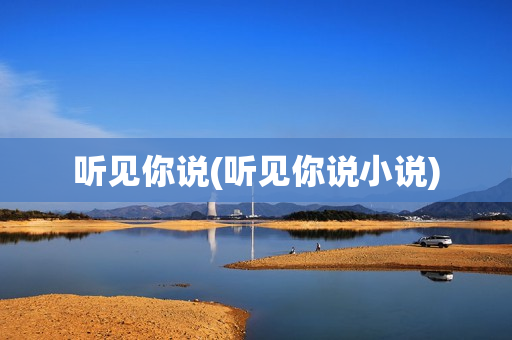 听见你说(听见你说小说)