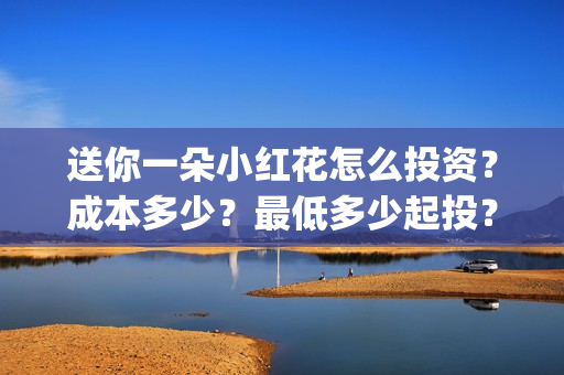 送你一朵小红花怎么投资？成本多少？最低多少起投？(送你一朵小红花演员表)