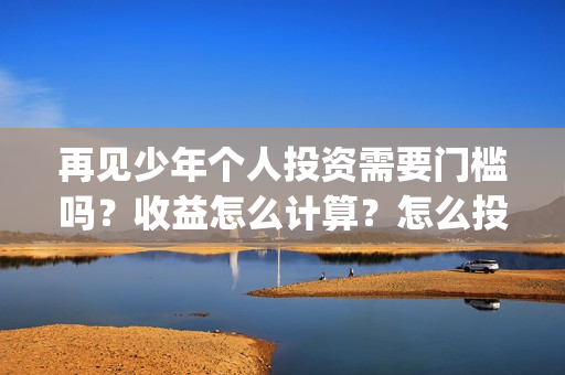 再见少年个人投资需要门槛吗？收益怎么计算？怎么投资？(再见少年个人投资真实吗)