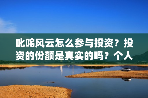 叱咤风云怎么参与投资？投资的份额是真实的吗？个人怎么参与？(叱咤风云解说)