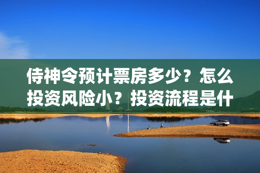 侍神令预计票房多少？怎么投资风险小？投资流程是什么？(《侍神令》票房)