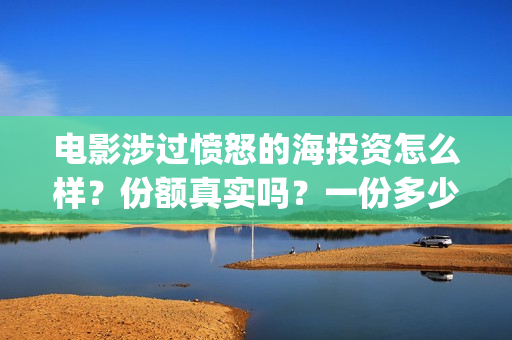 电影涉过愤怒的海投资怎么样？份额真实吗？一份多少钱？(电影涉过愤怒的海讲了什么)
