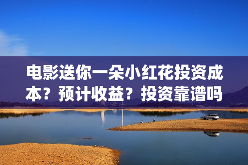 电影送你一朵小红花投资成本？预计收益？投资靠谱吗？(电影送你一朵小红花的英文)