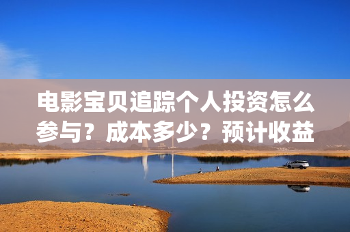 电影宝贝追踪个人投资怎么参与？成本多少？预计收益(宝贝追踪剧情介绍)